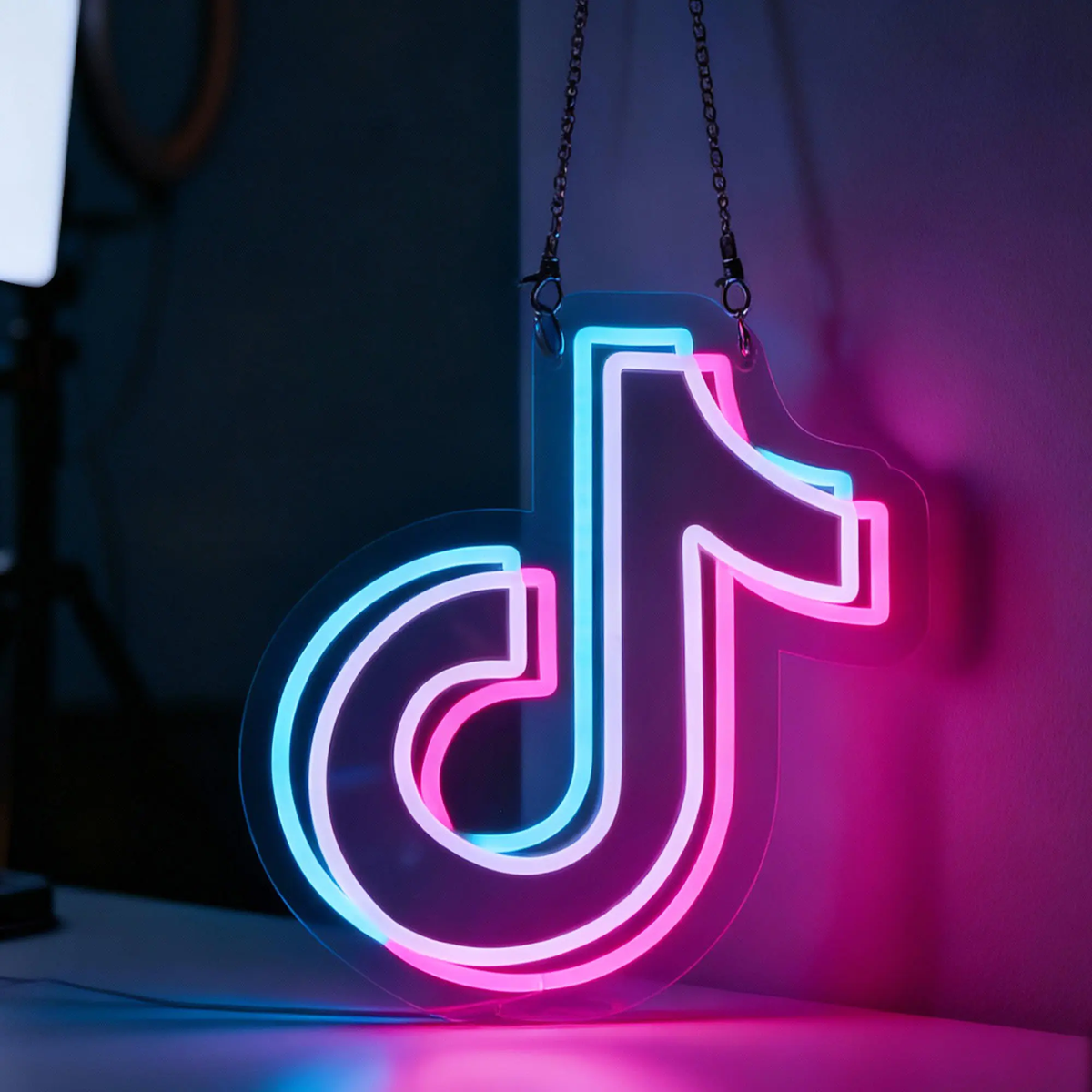 TikTok Logo Light